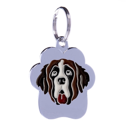 Picture of TAG RAINBOW ST.BERNARD